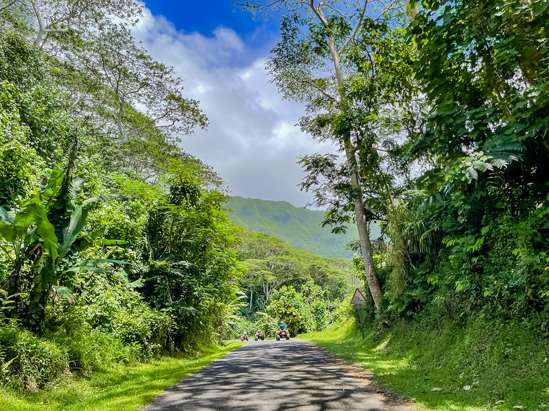 Exploring Huahine by ATV and driving through lush vegetation