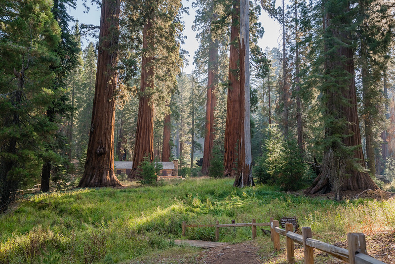 Mariposa Grove Cabin in Yosemite National Park