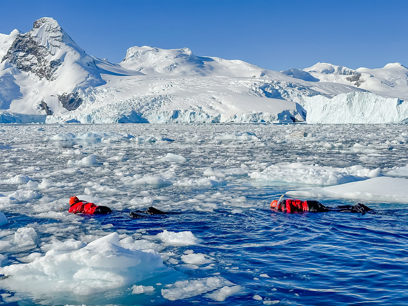 Two snorkelers with ice in Antarctica