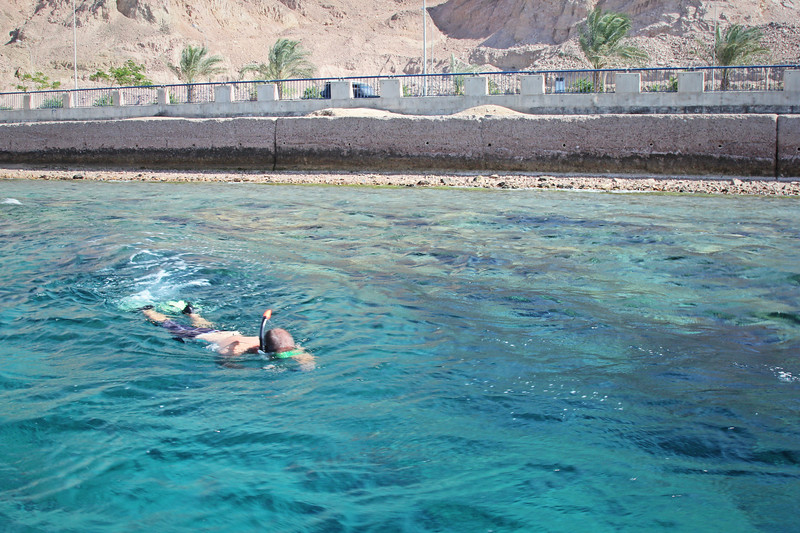 David Stock Jr of Divergent Travelers Adventure Travel blog snorkeling in the Red Sea Aqaba, Jordan 
