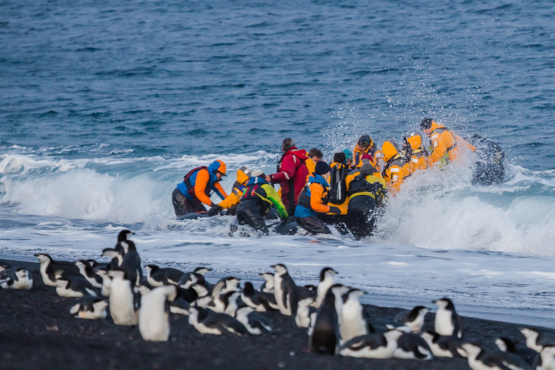 How to make the most out of your cruise to Antarctica