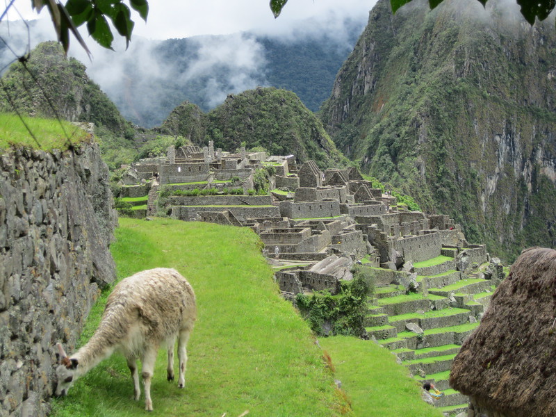 Machu Picchu - Best time to visit Peru