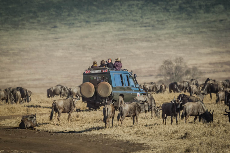 Safari truck in Ngorongoro Crater in Tanzania
