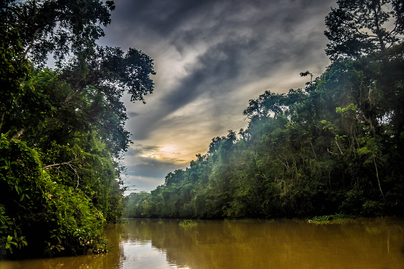 Southeast Asia adventures Kinabatangan River Borneo