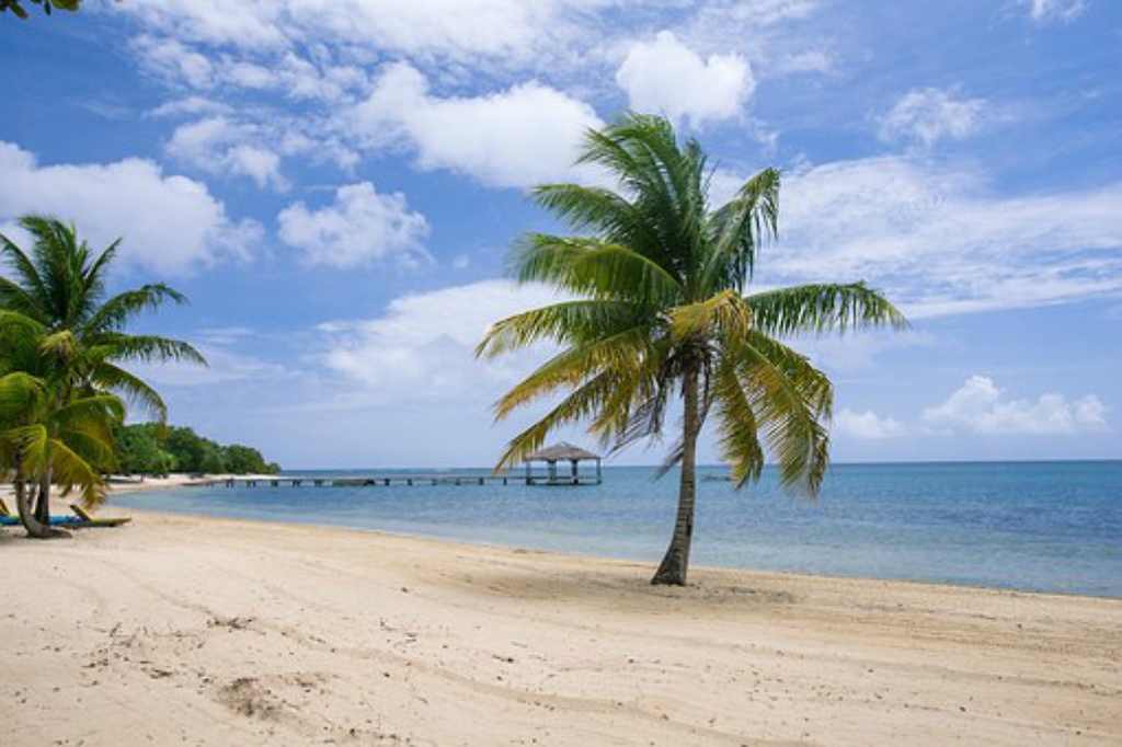 Beach in Roatan Honduras