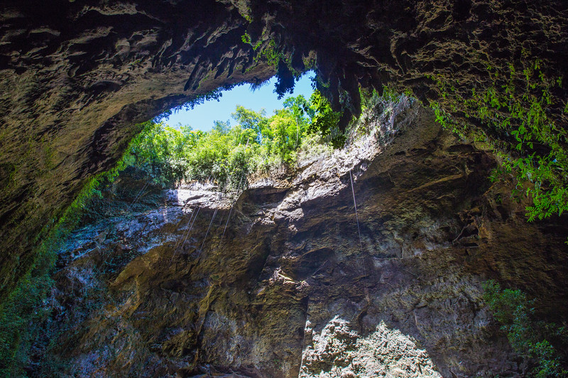 Rio Camuy Cave Park, the world's largest subterranean cave networks located in Puerto Rico.