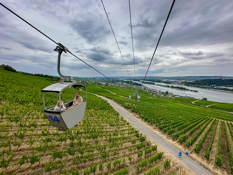 Rudesheim Cable Car over vineyards