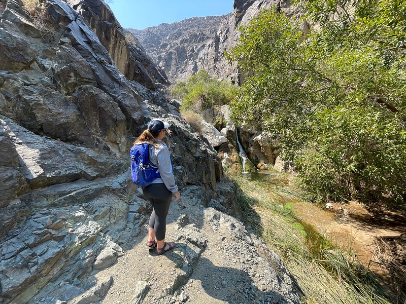 Lina Stock of Divergent Travelers Adventure Travel Blog look out at the Darwin Falls waterfall in Death Valley National Park.