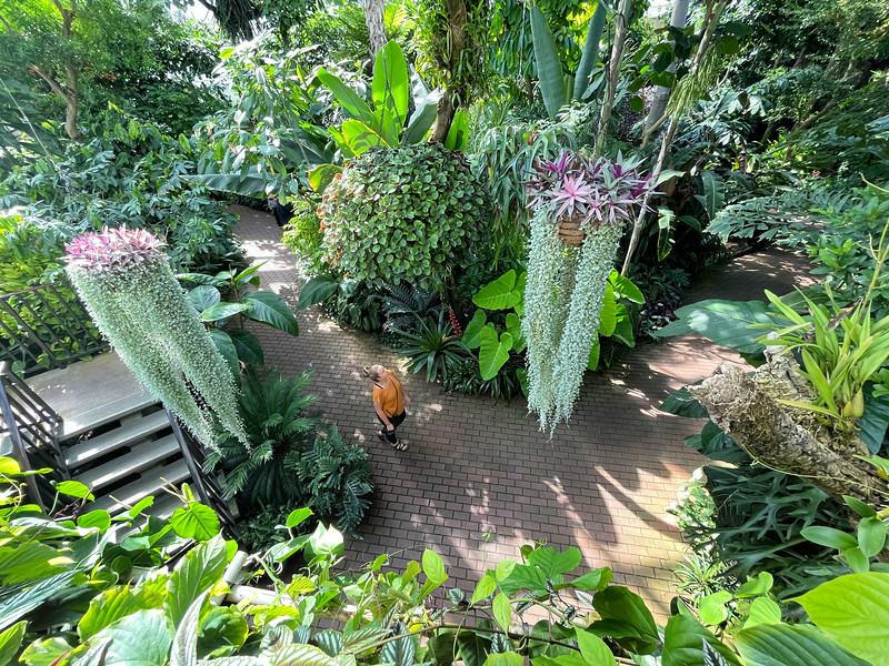 Lina Stock of Divergent Travelers Adventure Travel Blog exploring the Bolz Conservatory in Madison Wisconsin. 