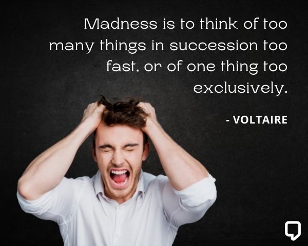voltaire quotes about madness