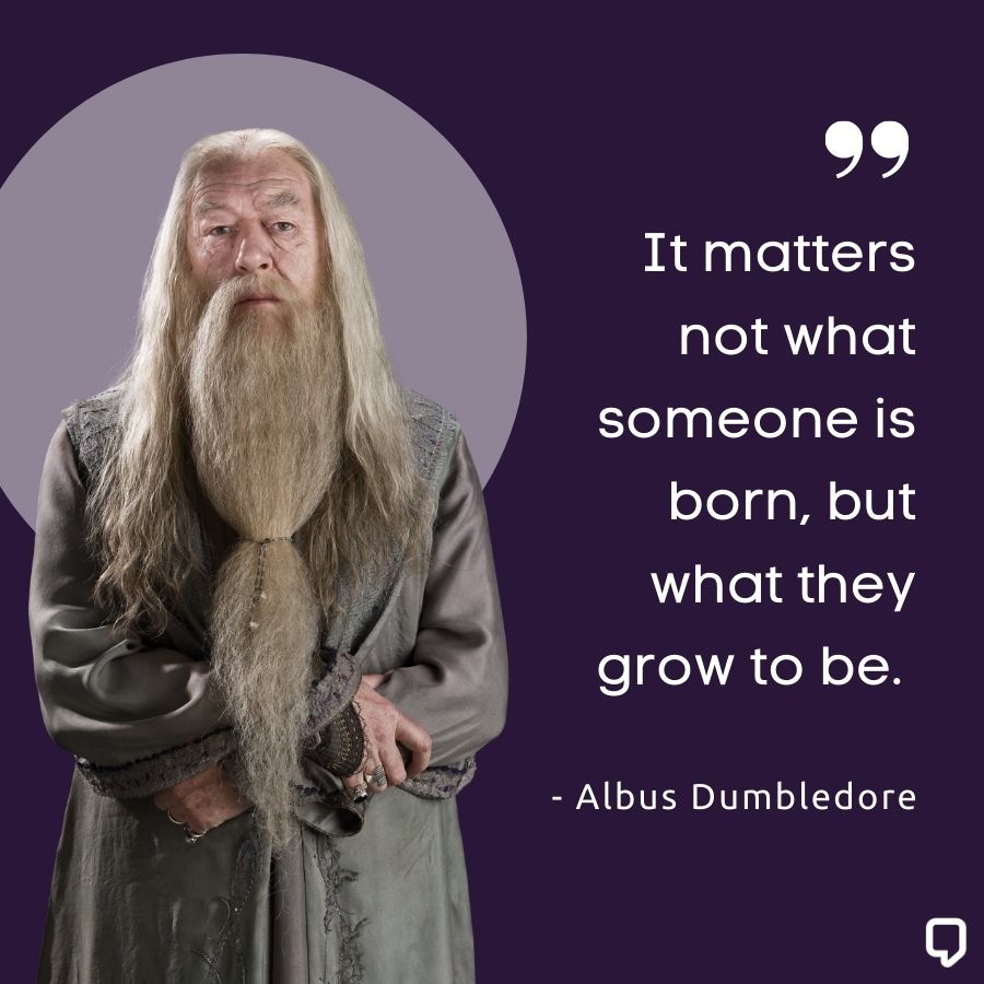 Albus Dumbledore Quotes