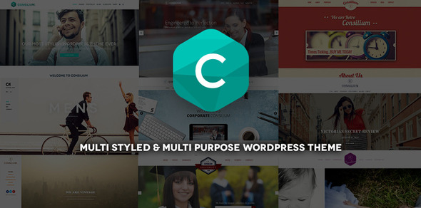 Download Consilium – Multi-Styled & Multi-Purpose Theme Nulled 