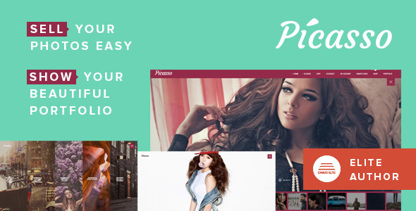 Download Picasso – Photography, Portfolio WordPress Theme Nulled 