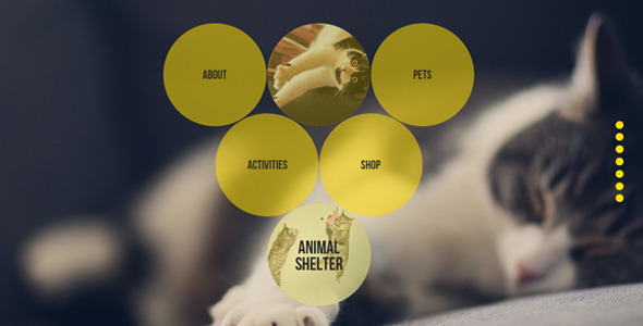 [Download] Animal Shelter Muse Template With Gumroad Shop 