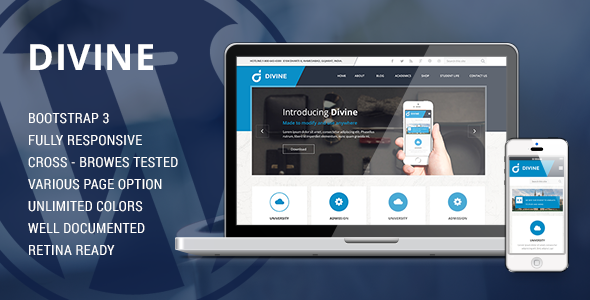 Download Divine – Professional Business Drupal Theme  Nulled 