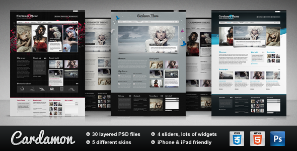 Download Cardamon – Multipurpose HTML Template Nulled 