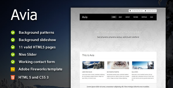 Download Avia – Clean Business Template Nulled 