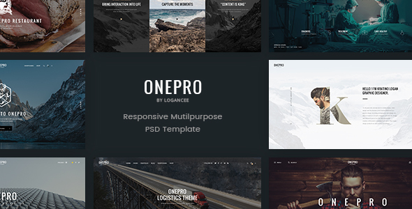 Download OnePro – Creative Multipurpose PSD Template Nulled 