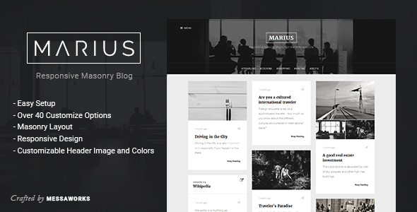 Download Marius – Responsive Masonry Blog Tumblr Theme Nulled 