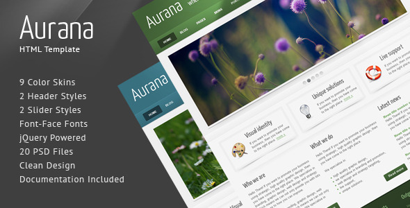 Download Aurana – Clean HTML Template Nulled 