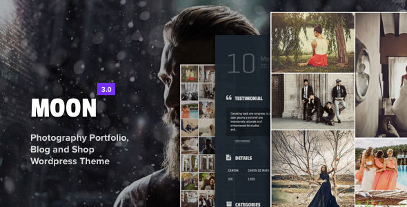 Download Moon – Photography Portfolio Theme for WordPress Nulled 