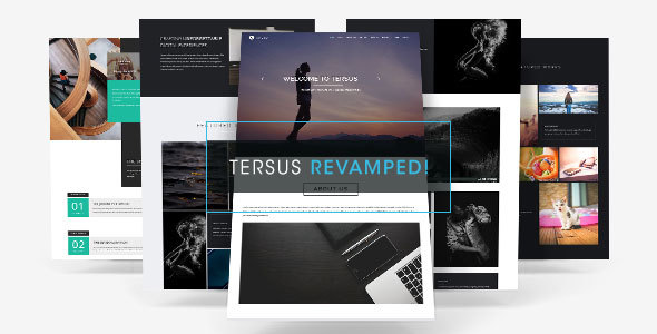 Download Tersus – Business Portfolio Parallax Muse Template Nulled 