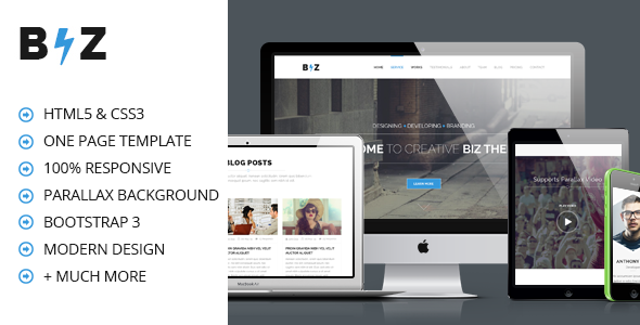 Download BIZ – One Page Parallax HTML Template Nulled 