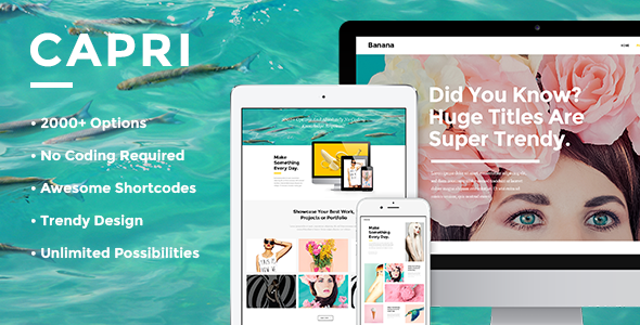 Download Capri – Creative Portfolio Theme Nulled 