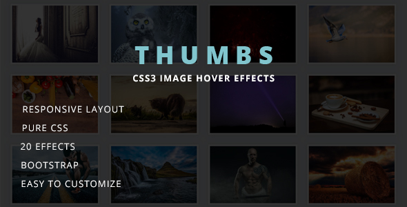 Download THUMBS – Image Hover Effects Nulled 