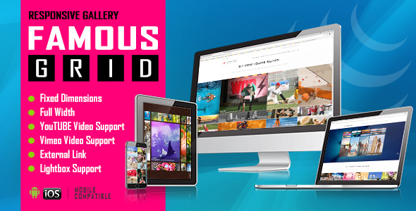 Download Famous – Responsive Image And Video Grid Gallery Nulled 