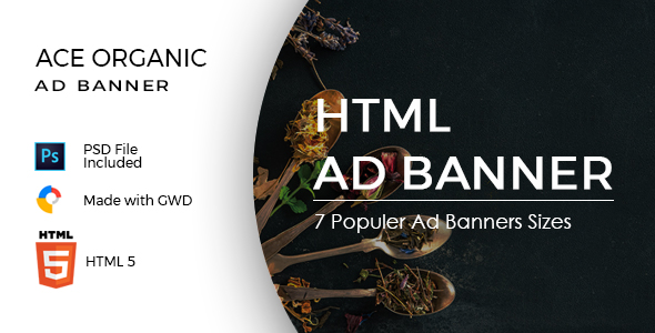 Download Ace Organic Google Ad Template Nulled 