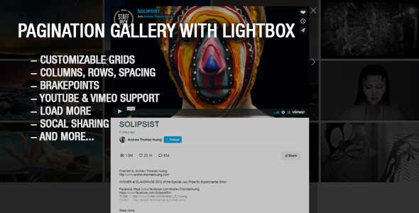 Download Youtube and Vimeo Gallery with Lightbox Nulled 