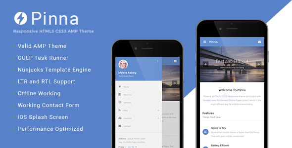 Download Pinna – Google AMP Template Nulled 