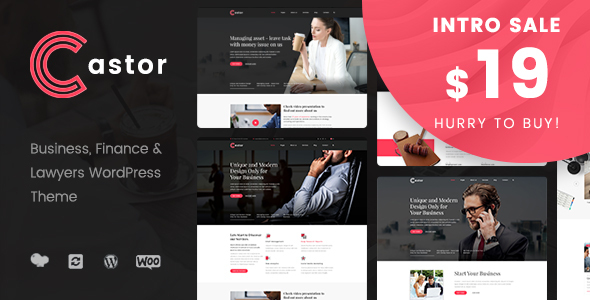 Download Castor – Business Consulting WordPress Theme Nulled 