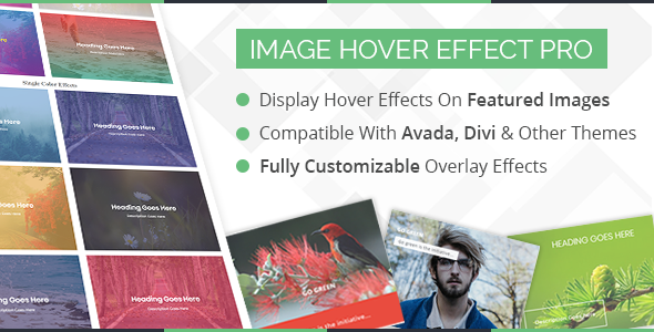Download WP Image Hover Effects Nulled 