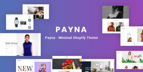 Download Payna – Clean, Minimal Shopify Theme Nulled 