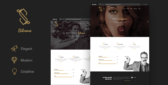 Download Silvana – Creative Onepage Agency Template Nulled 