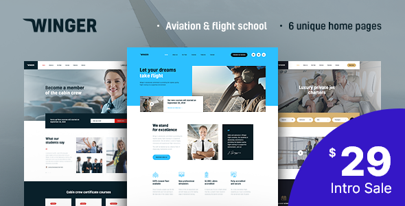 Download Winger – Aviation & Flight School WordPress Theme Nulled 