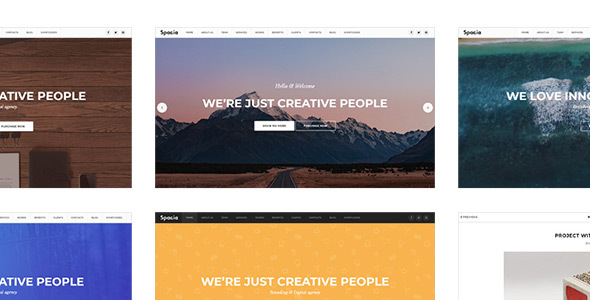 Download Spacia – One Page Parallax Theme Nulled 