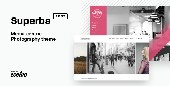 Download Superba: Media-centric Photography WordPress Theme Nulled 