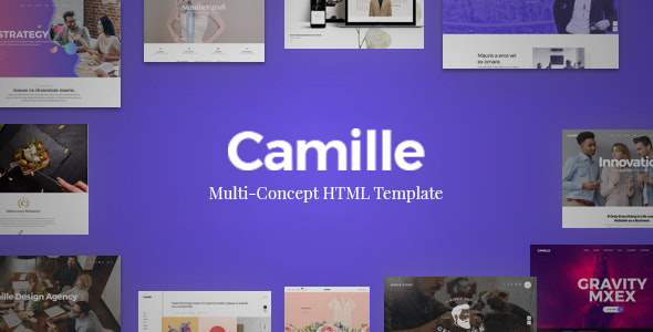 Download Camille – Multi-Concept HTML Template for Start-ups and Agency Nulled 