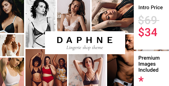 Download Daphne – Lingerie Shop Theme Nulled 