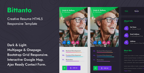 Download Bittanto – Creative Resume HTML5 Responsive Template Nulled 