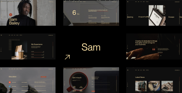 Download Sam Bailey – Personal CV/Resume WordPress Theme Nulled 