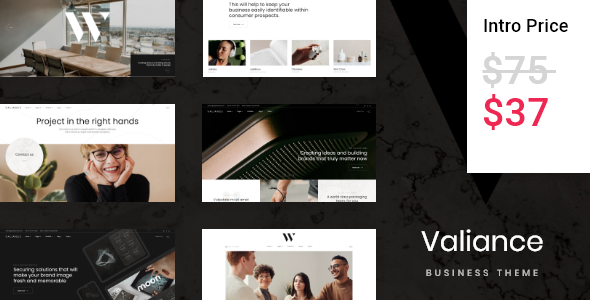 Download Valiance – Business Consulting Nulled 