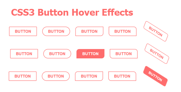 Download CSS3 Button Hover Effects Nulled 