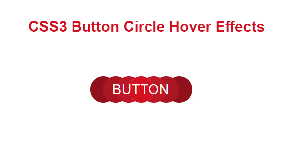 [Download] CSS3 Button Circle Hover Effects 