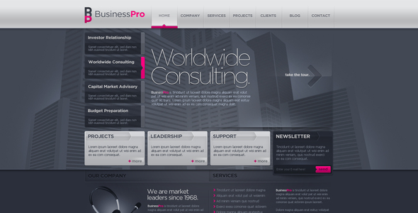Download Business Template #10 Nulled 