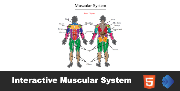 [Download] Interactive Muscular System 