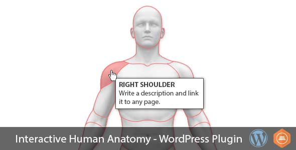 [Download] Interactive Human Anatomy – WordPress Plugin 